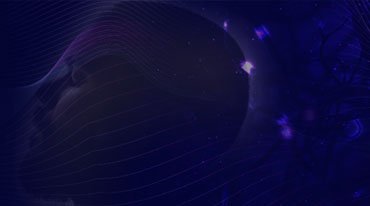 <span>Curso Pago</span>PNL PARA COACHES E TERAPEUTAS